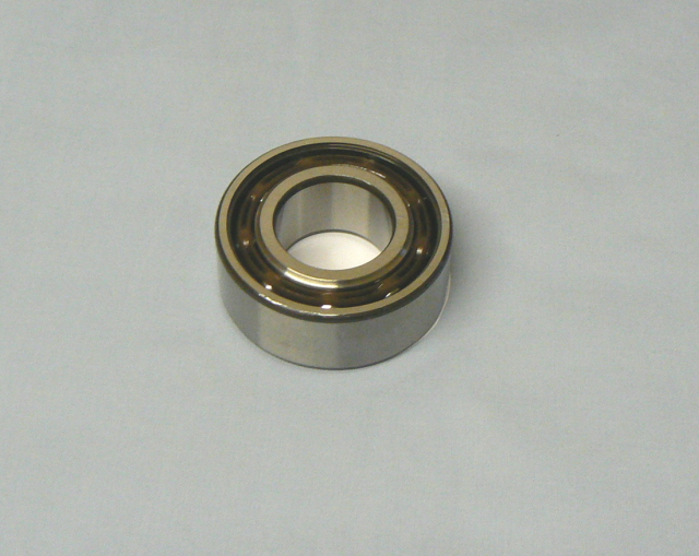C075R6001Z DIFF OUTPUT SHAFT BEARING (Elite/Eclat)